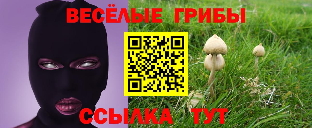 Лянтор  наркошоп  Вход с VPN  Галлюциногенные грибы мицелий 